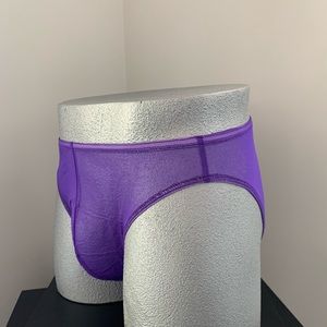 Expo Brief- B071- Purple Sheer Brief